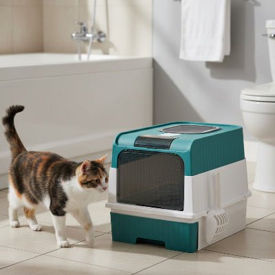 Chat s’approchant d’un bac à litière chat turquoise