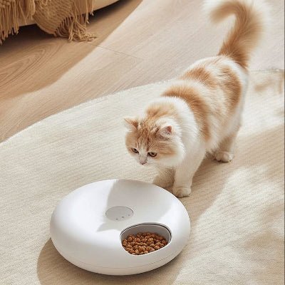 chat s'approche du distributeur automatique de croquettes pour chat