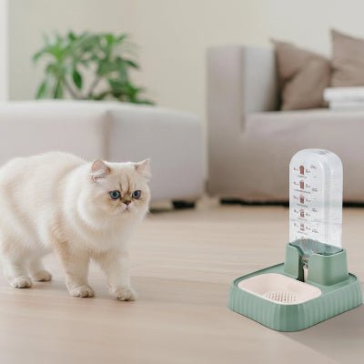 chat s'approche prudemment de la Fontaine eau pour chat