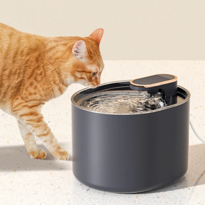 chat s'approche de la fontaine à chat pour boire 