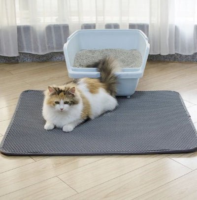 Chat assis devant son bac sur un tapis litière chat