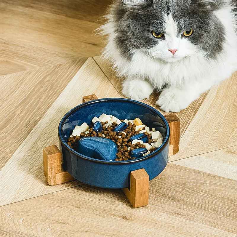 chat assis prés de la gamelle anti glouton pour chat