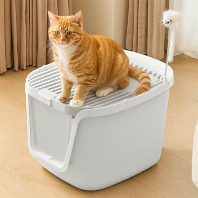 chat assis sur le bac a litiere chats