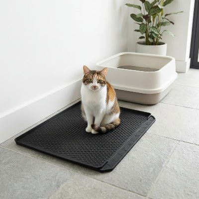 chat assis sur le tapis pour litiere chat