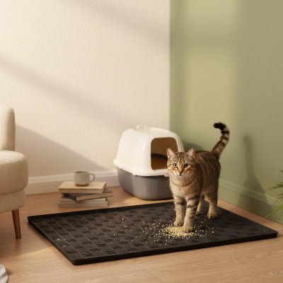 chat attend sur le tapis pour chat
