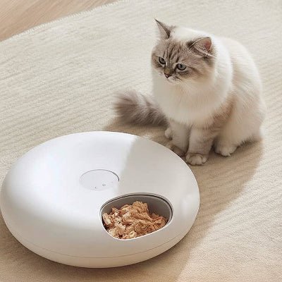 chat attendant devant le distributeur automatique de croquettes pour chat