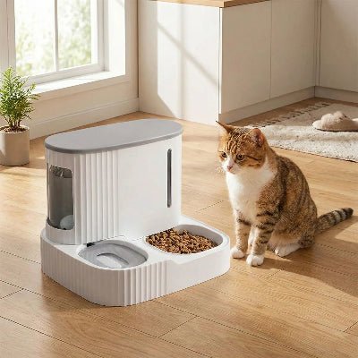 chat attendant devant un distributeur de croquettes