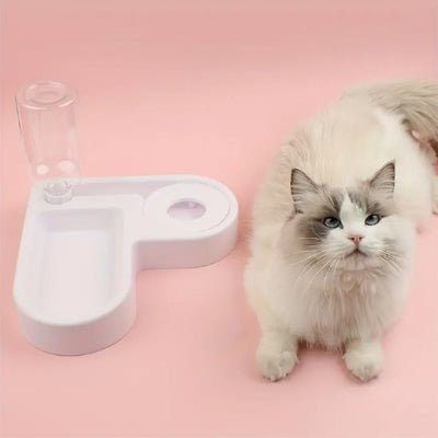 Chat attendant près de la gamelle chat automatique