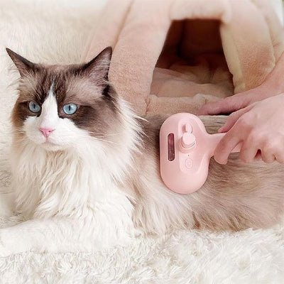 Chat aux poils longs brossé avec brosse à chat 