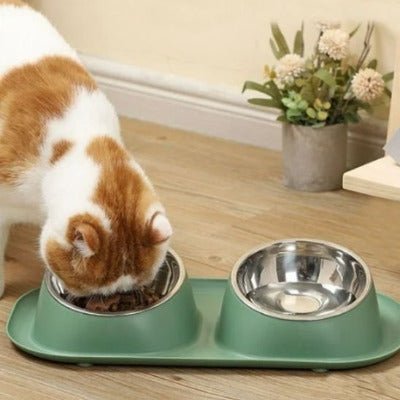 chat balc tache roux mangeant repas Gamelle pour chat 