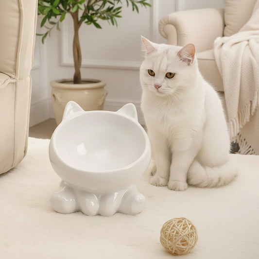 chat blanc debout à côté de la gamelle ceramique pour chat