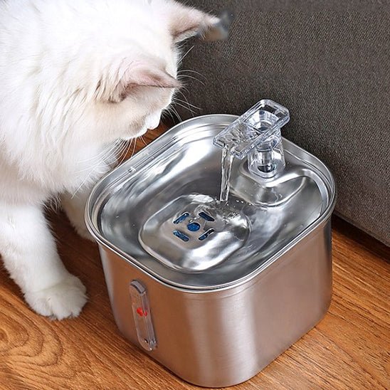 chat beau blanc regarde fontaine a eau chat