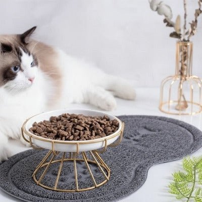chat beige et blanc allongé devant une gamelle chat surélevée dorée