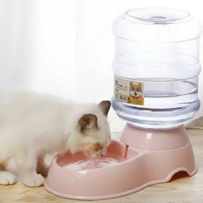 Chat beige buvant de l’eau dans une gamelle automatique chat