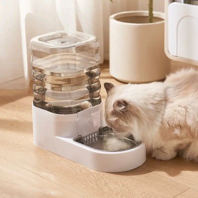 chat beige buvant dans le distributeur eau chat