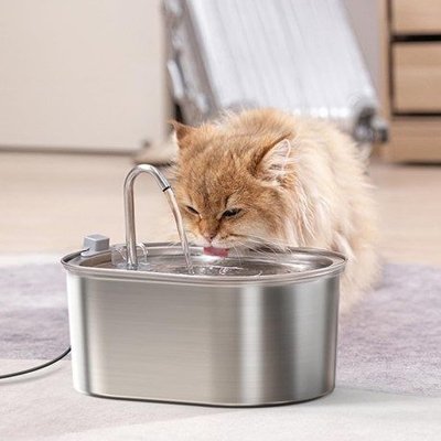 chat beige buvant eau frais dans une fontaine a chat