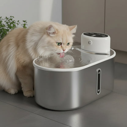 chat beige s'hydrate avec la fontaine a eau chat 