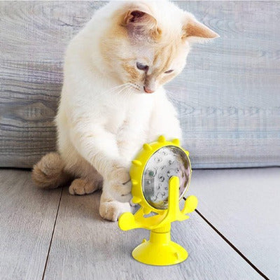chat beige jouant distributeur de croquettes pour chat jaune