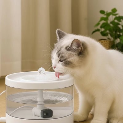 chat beige léchant fontaine eau pour chat