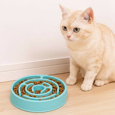 chat beige regarde la gamelle anti glouton rempli de croquettes