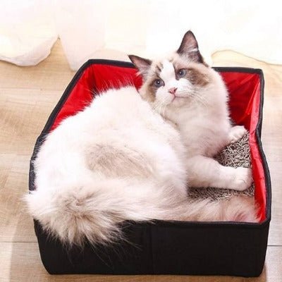 Un chat blanc est allongé dans le bac a litiere pour chat