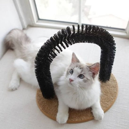 chat blanc allongé sur brosse poil chat