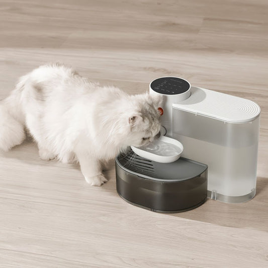 chat blanc bois eau fontaine a eau chat