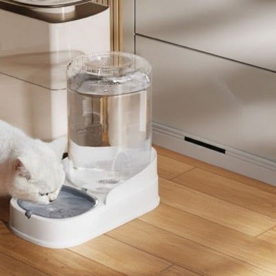 chat blanc boit distributeur croquettes chat eau