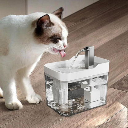 chat blanc boit eau fontaine a eau chat