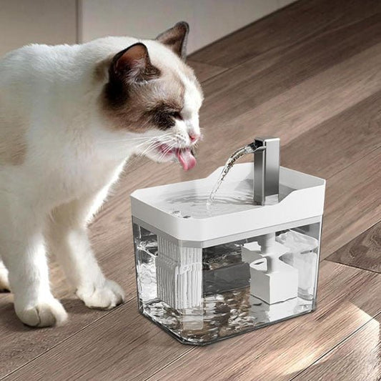 chat blanc boit eau fontaine a eau chat