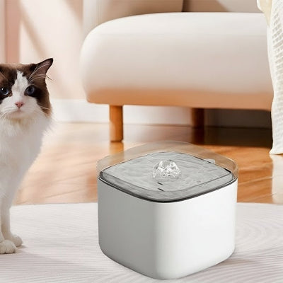 chat blanc brun a cote fontaine a eau pour chat