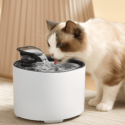 chat blanc brun buvant fontaine à eau pour chat