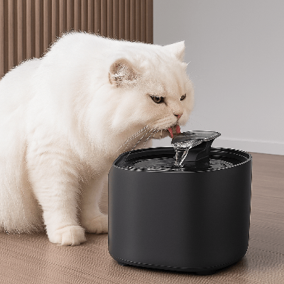 chat blanc buvant fontaine à eau pour chat noire