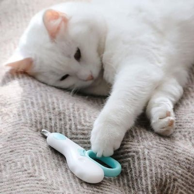 chat blanc jouant avec un Coupe griffe chat