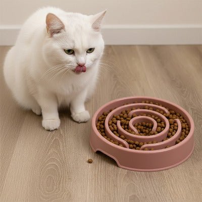 chat blanc lèche sa moustache à côté d’une gamelle anti glouton