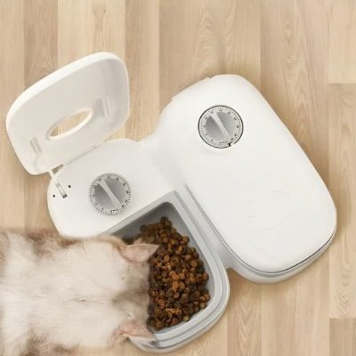 chat blanc mange distributeur croquette chat vue en haut
