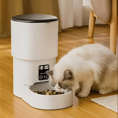 chat blanc mange repas distributeur de croquettes pour chat