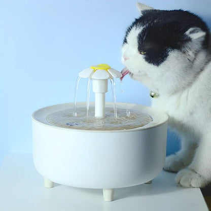 chat blanc noir bois fontaine a eau chat