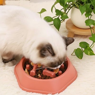 Chat blanc aux oreilles brunes mangeant son repas dans une gamelle anti glouton rose.