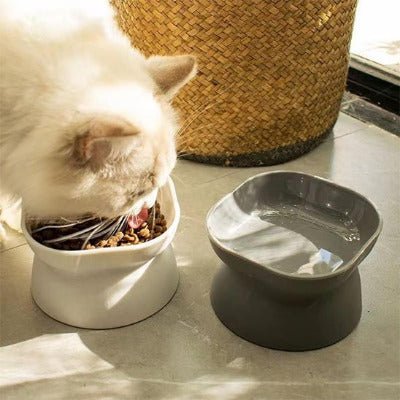 chat blanc prenant son repas dans une gamelle chat surélevée