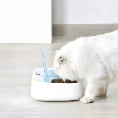 chat blanc prend son diner gamelle automatique chat
