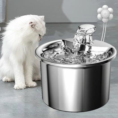 chat blanc regarde la fontaine a eau inox chat