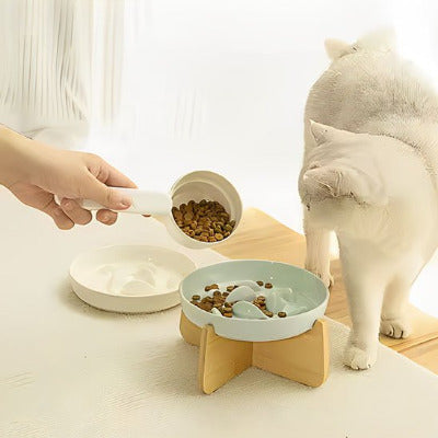 chat blanc regarde gamelle anti glouton chat