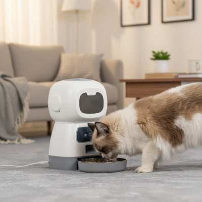 chat blanc roux mange croquette distributeur de croquettes pour chat