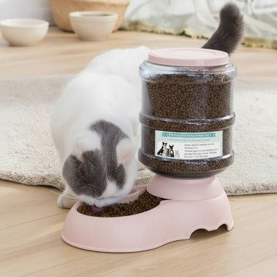 Chat blanc savourant des croquettes dans une gamelle automatique chat.