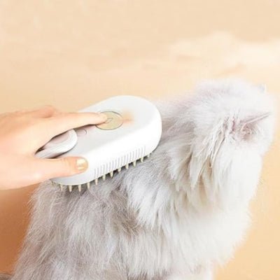 Chat brossé sur le dos avec une brosse chat