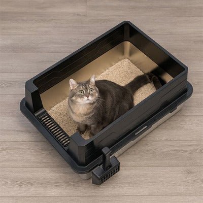 Le chat est accroupi dans le bac à litière pour Chat