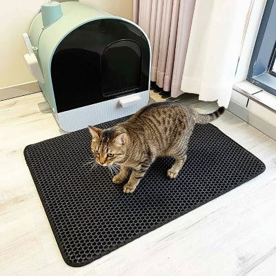 chat brun accroupi sur le tapis litière chat