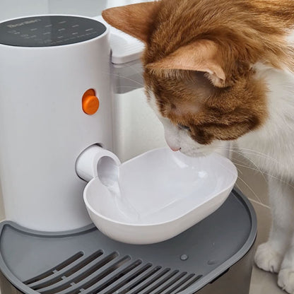chat brun bois eau fontaine a eau chat