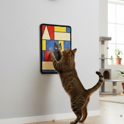 chat brun griffe Tapis griffoir Chat fixer au mur